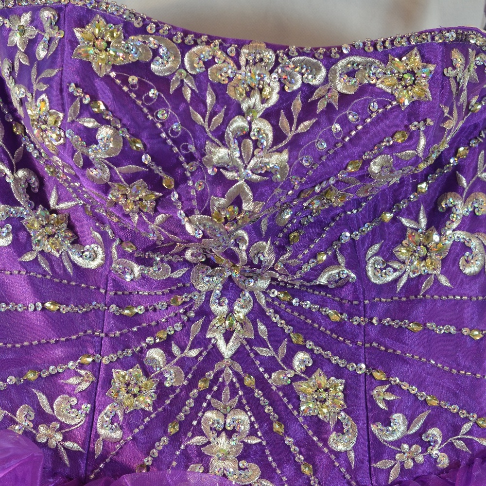 PROM NWT PURPLE/SILVER EMBROIDERED/SEQUINS/BEADS SZ 10 DA VINCI